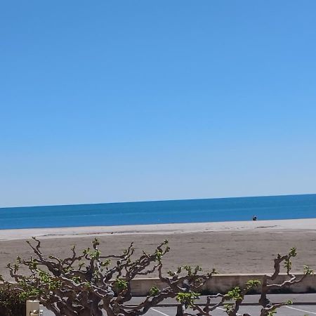 Superbe Appartement Avec Vue Sur Le Port Et Plage Saint-Pierre-la-Mer  Dış mekan fotoğraf